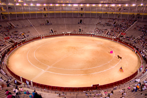 Tour dell'Arena Las Ventas Madrid
